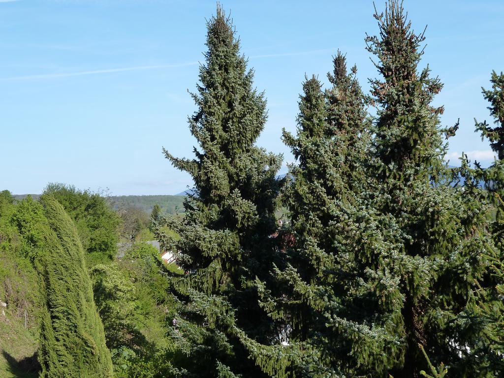 Helle 70 Qm Mit Herrlichem Blick *