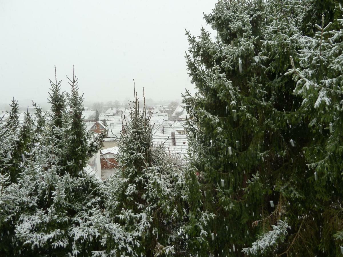 Apartment Helle 70 Qm Mit Herrlichem Blick