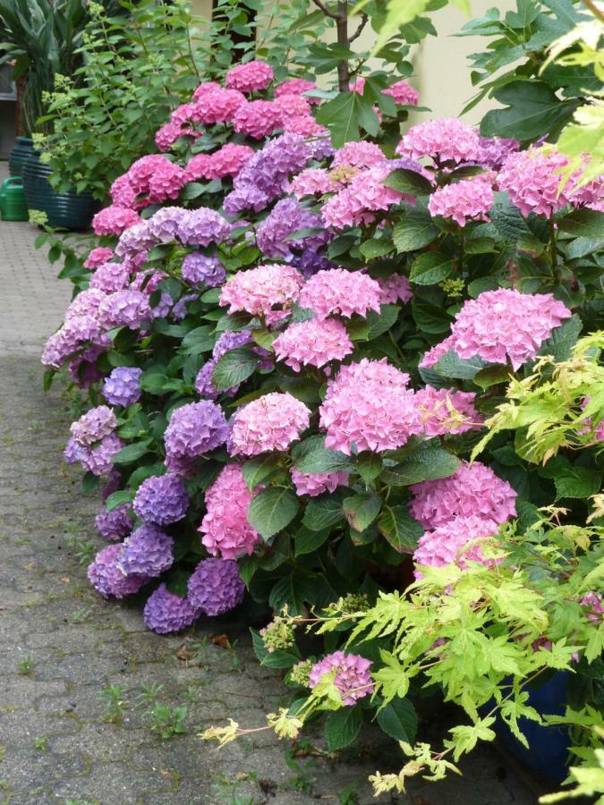 Helle 70 Qm Mit Herrlichem Blick * Teningen